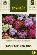 Røllike 'Flowerburst Fruit Bowl'