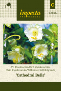 Hvid klokkeranke 'Cathedral Bells'