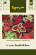 Paletblad 'Masterblend Rainbow'