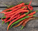 Chilipeber 'Cayenne Long Slim'