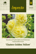 Stokrose 'Chater's Golden Yellow'