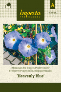 Trefarvet Pragtsnerle 'Heavenly Blue'