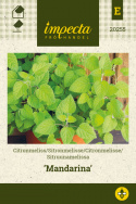 Citronmelisse 'Mandarina'