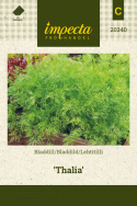Bladdild 'Thalia'