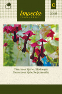 Torneroses Kjole