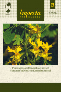 Sommerfuglekarse