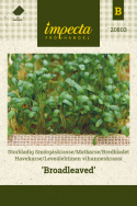 Bredbladet Havekarse 'Broadleaved'