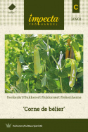 Sukkerært 'Corne de bélier'