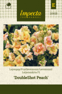 Løvemund F1 'DoubleShot Peach'
