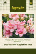 Løvemund F1 'DoubleShot Appleblossom'