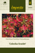 Paletblad 'Colocha Scarlet'