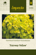 Paletblad 'Fairway Yellow'