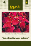 Paletblad 'Superfine Rainbow Volcano'