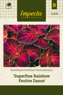 Paletblad 'Superfine Rainbow Festive Dance'