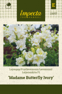 Løvemund F1 'Madame Butterfly Ivory'