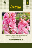 Løvemund F1 'Snapstar Pink'