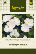 Flittiglise F1 'Lollipop Coconut'