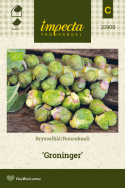 Rosenkål 'Groninger'