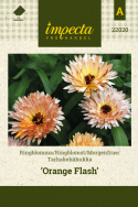 Morgenfrue 'Orange Flash'