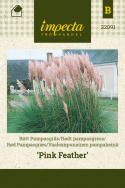 Rød Pampasgræs 'Pink Feather'