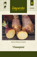 Kålroe 'Champion'