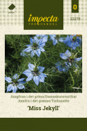 Jomfru i det grønne 'Miss Jekyll'