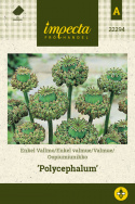 Enkel Valmue 'Polycephalum'