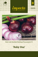 Rødløg F1 'Ruby Star'
