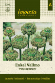 Opium-Valmue 'Polycephalum'