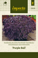Småbladet Basilikum 'Purple Ball'