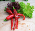 Chilipeber 'De Cayenne'