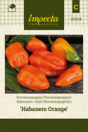 Habanero-chili 'Habanero Orange'