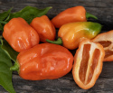 Habanero-chili 'Habanero Orange'
