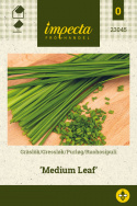 Purløg 'Medium Leaf'