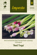 Rødt salatløg 'Red Toga'