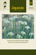 Kinesisk Purløg