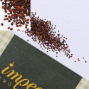 Græsk Oregano