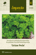Krusbladet Persille 'Grüne Perle'