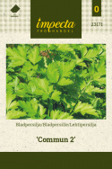 Bladpersille 'Commun 2'