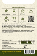 Bladpersille 'Commun 2'