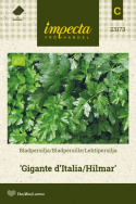 Bladpersille 'Gigante d'Italia/Hilmar'