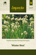 Pibeløg 'Winter Nest'