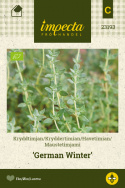 Havetimian 'German Winter'