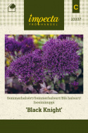 Blå halsurt 'Black Knight'