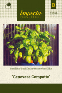 Basilikum 'Genovese Compatto'