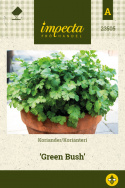 Koriander 'Green Bush'