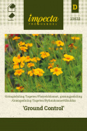 Grøngødning Tagetes 'Ground Control'