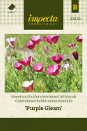 Californisk Guldvalmue 'Purple Gleam'