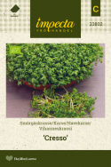 Havekarse 'Cresso'