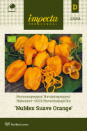 Habaneropeber 'NuMex Suave Orange'